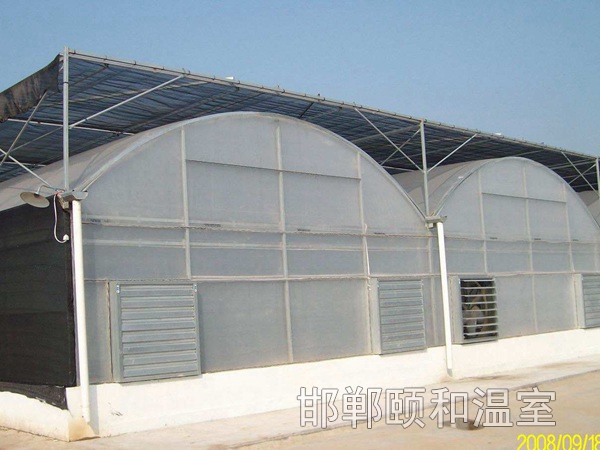 連棟薄膜溫室 (2)