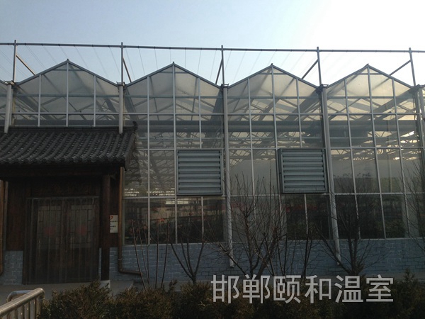 連棟玻璃溫室 (7)