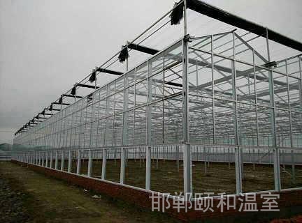 連棟陽光板溫室 (12)