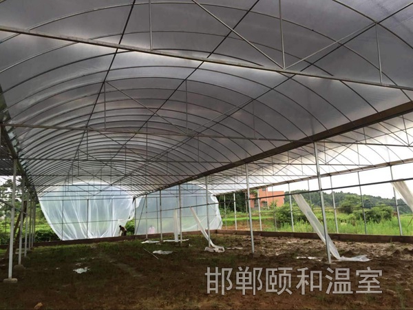 連棟薄膜溫室 (6)