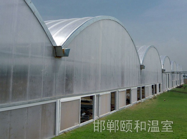 連棟陽光板溫室 (3)