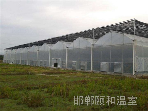 連棟薄膜溫室 (1)