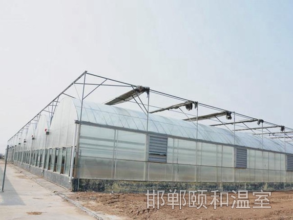 連棟薄膜溫室 (9)