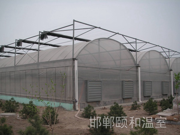 連棟薄膜溫室 (12)