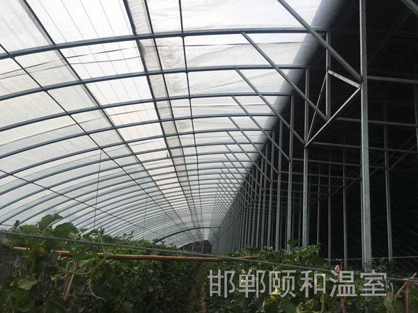 日光溫室 (1)