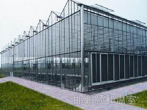 連棟陽光板溫室 (5)