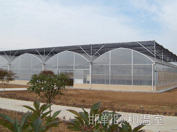 連棟陽光板溫室 (6)