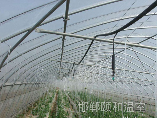 單體溫室 (5)