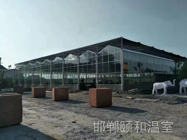 連棟玻璃溫室 (4)