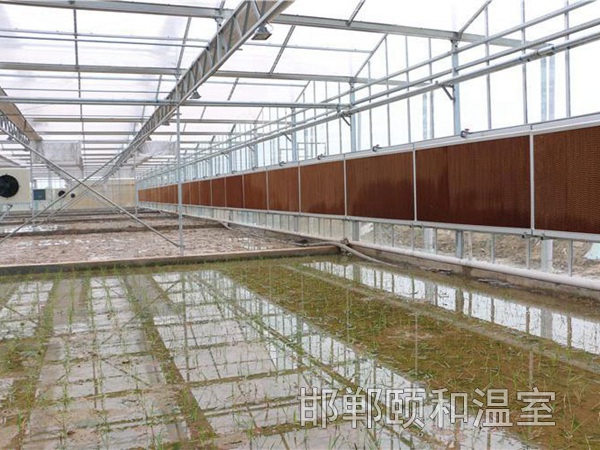 連棟陽光板溫室 (9)