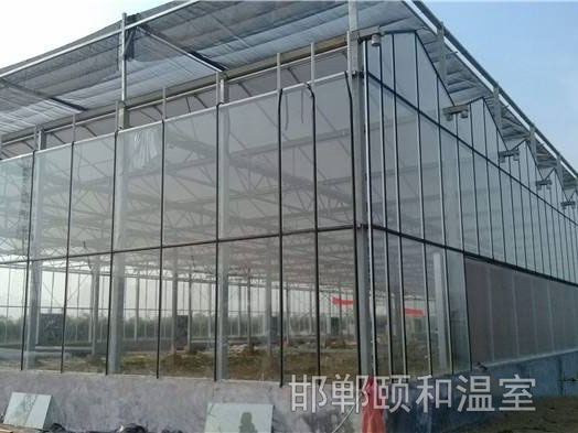 連棟陽光板溫室 (4)