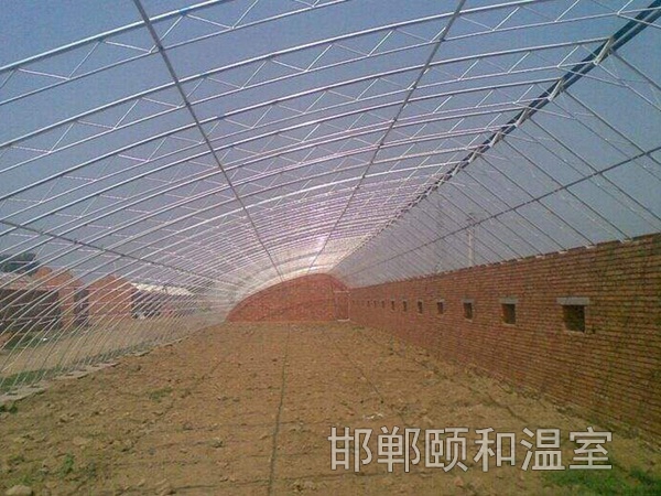 日光溫室 (3)