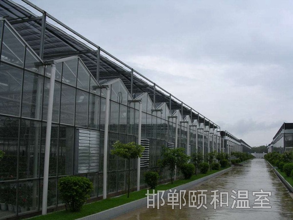 連棟玻璃溫室 (9)