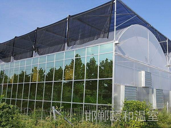 連棟陽光板溫室 (1)