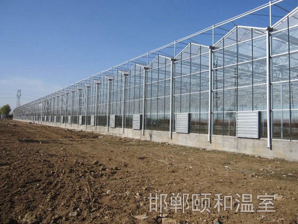 連棟玻璃溫室 (12)